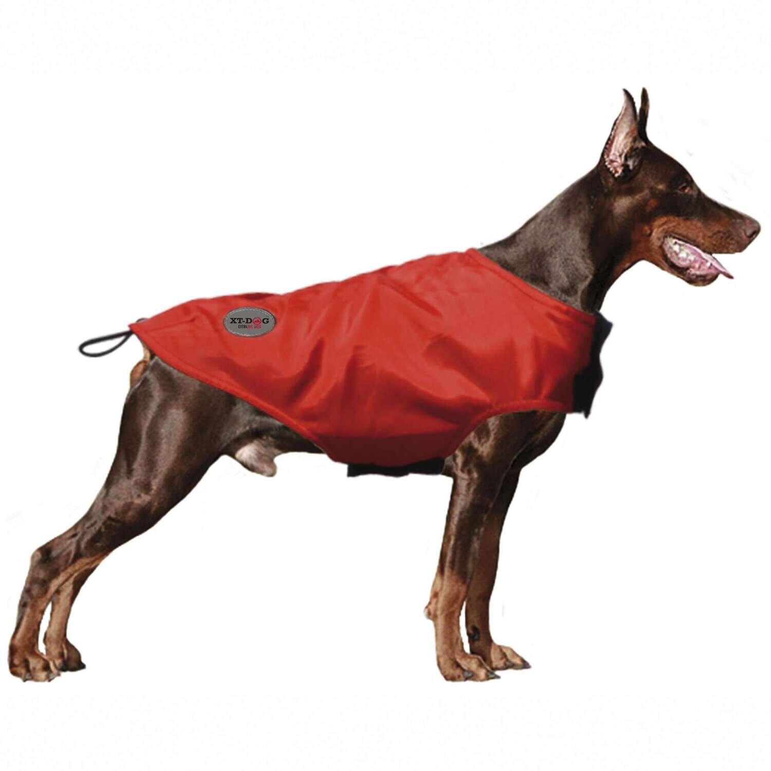 Abrigo Rain XT-DOG 25