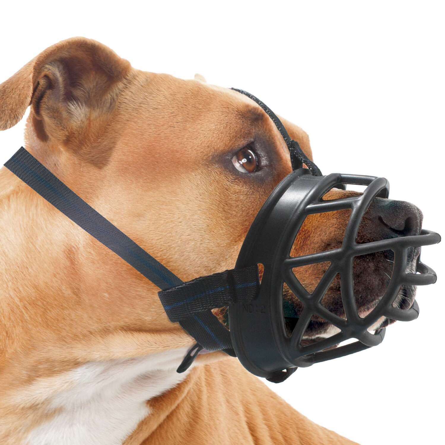 Bozal Basket de XT-DOG