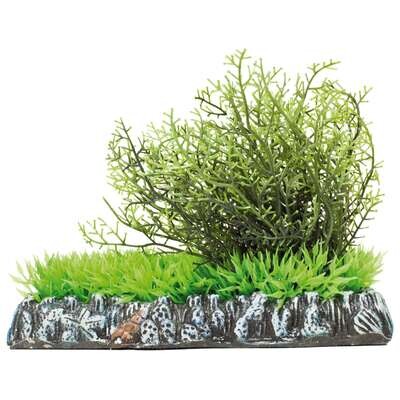 Fucus con c�sped de AQUATIC PLANTS (PL�STICO) 14x11 cm