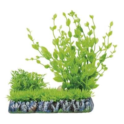 Hygrophila con c�sped de AQUATIC PLANTS (PL�STICO) 14x17,5 cm