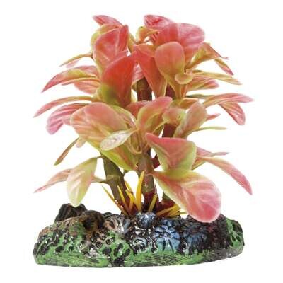 Hidrocotile con c�sped de AQUATIC PLANTS (PL�STICO) 11,5x14 cm