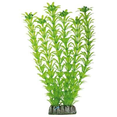 Elodea de AQUATIC PLANTS (PL�STICO) 29 cm