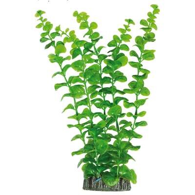 Bacopa australis de AQUATIC PLANTS (PL�STICO) 28 cm