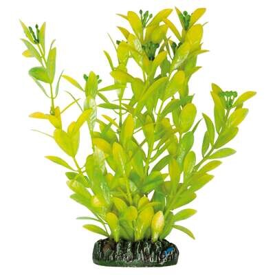 Hygrophila polysperma de AQUATIC PLANTS (PL�STICO) 20,5 cm