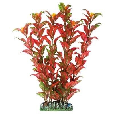 Alternanthera de AQUATIC PLANTS (PL�STICO) 22 cm