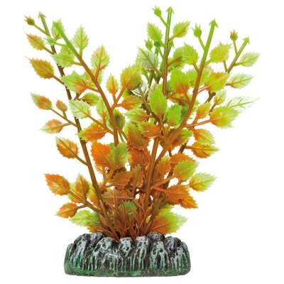 Hygrophila de AQUATIC PLANTS (PL�STICO) 13 cm