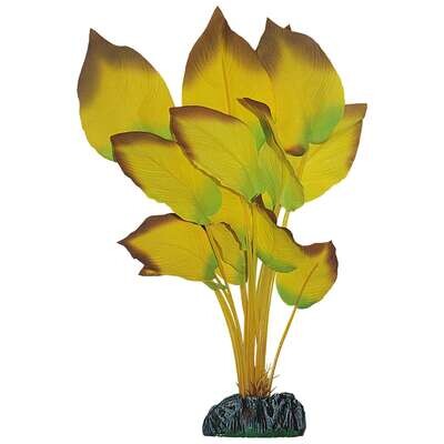 Anubias de AQUATIC PLANTS (SEDA) 30 cm