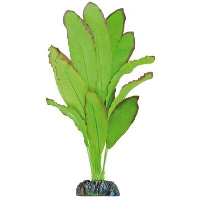 Planta de seda Echinodorus spidemet 39 cm
