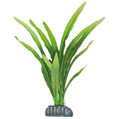 Echinodorus magdalenensis de AQUATIC PLANTS (SEDA) 30,5 cm