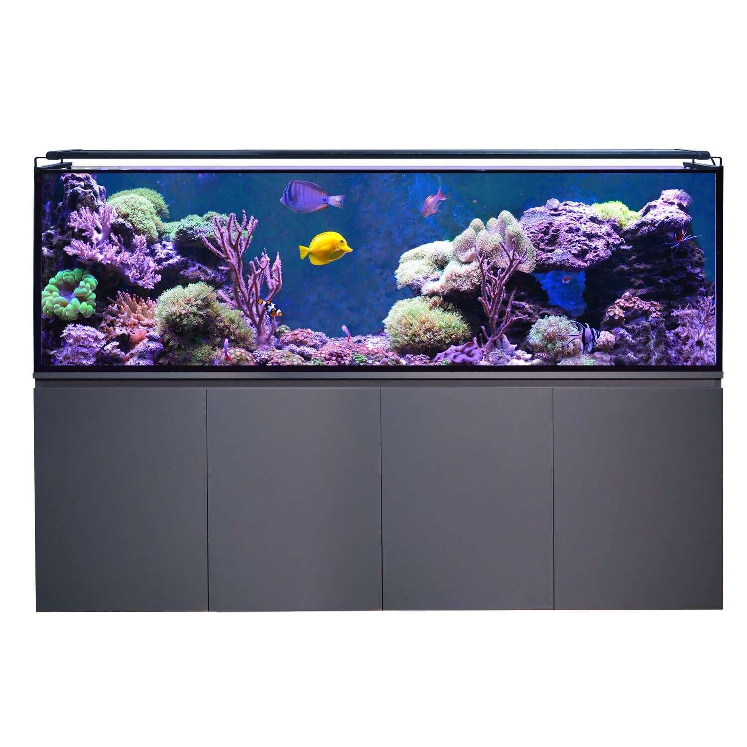Acuario marino con Sump AQUA OCEAN 200 200x50x60 cm