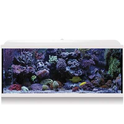 Kit Hydra 130 para agua salada 100x30,7x47,5 cm