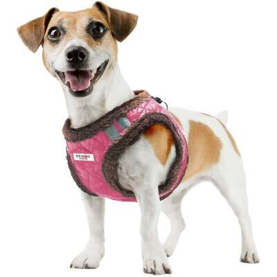 Arn�s NORDIC fuscia de XT-DOG  23-25 cm