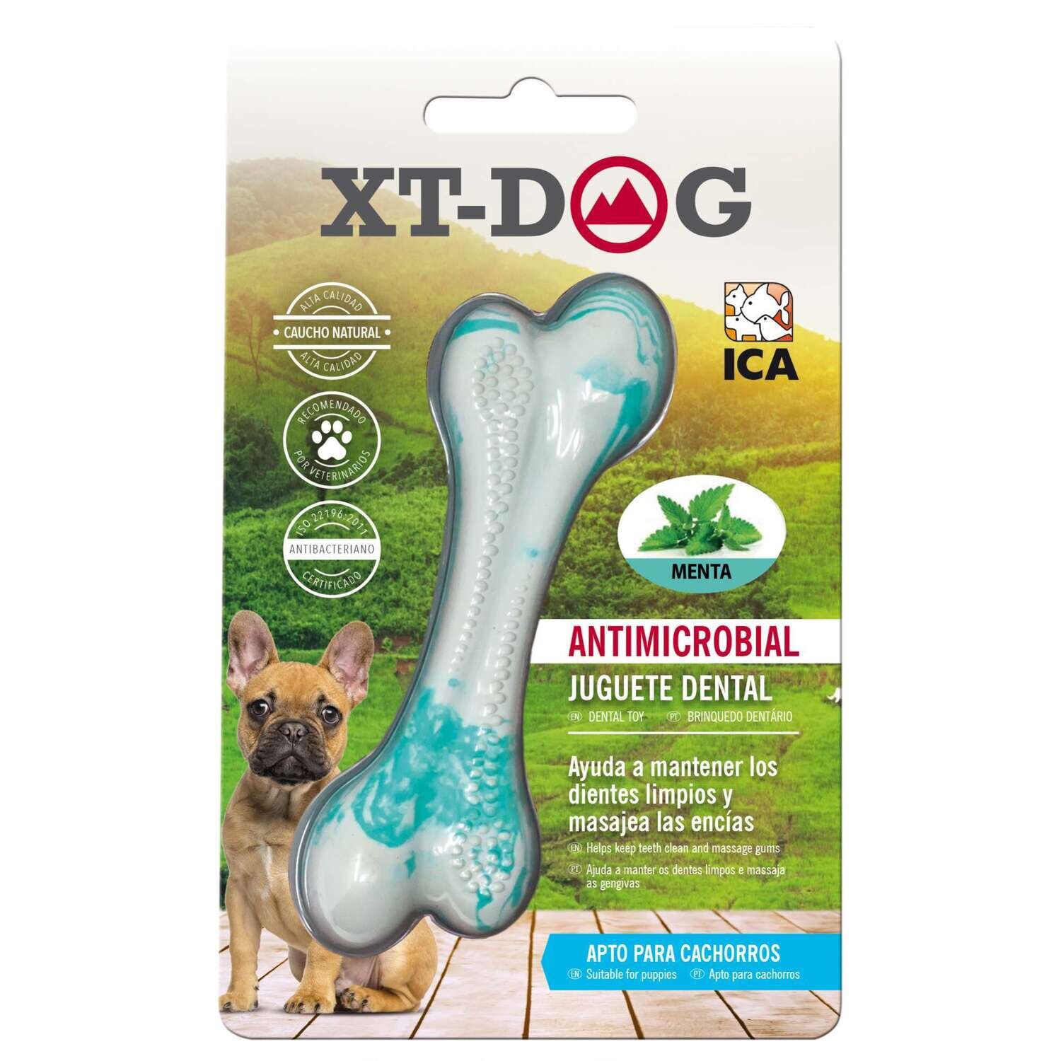 Huesito Dental Bone Menta de XT-DOG 11 cm