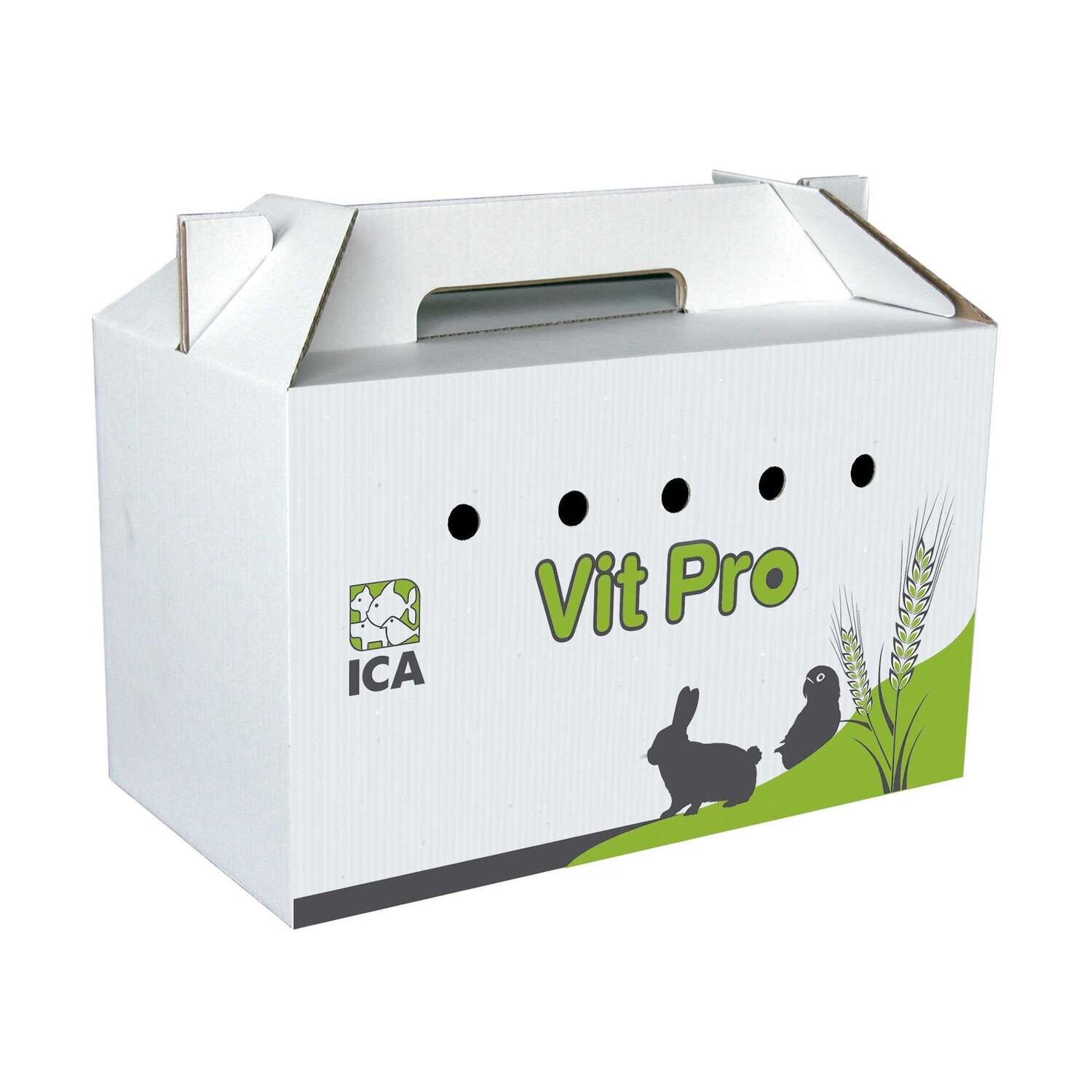 Transport�n de cart�n grande 30x18x16 cm