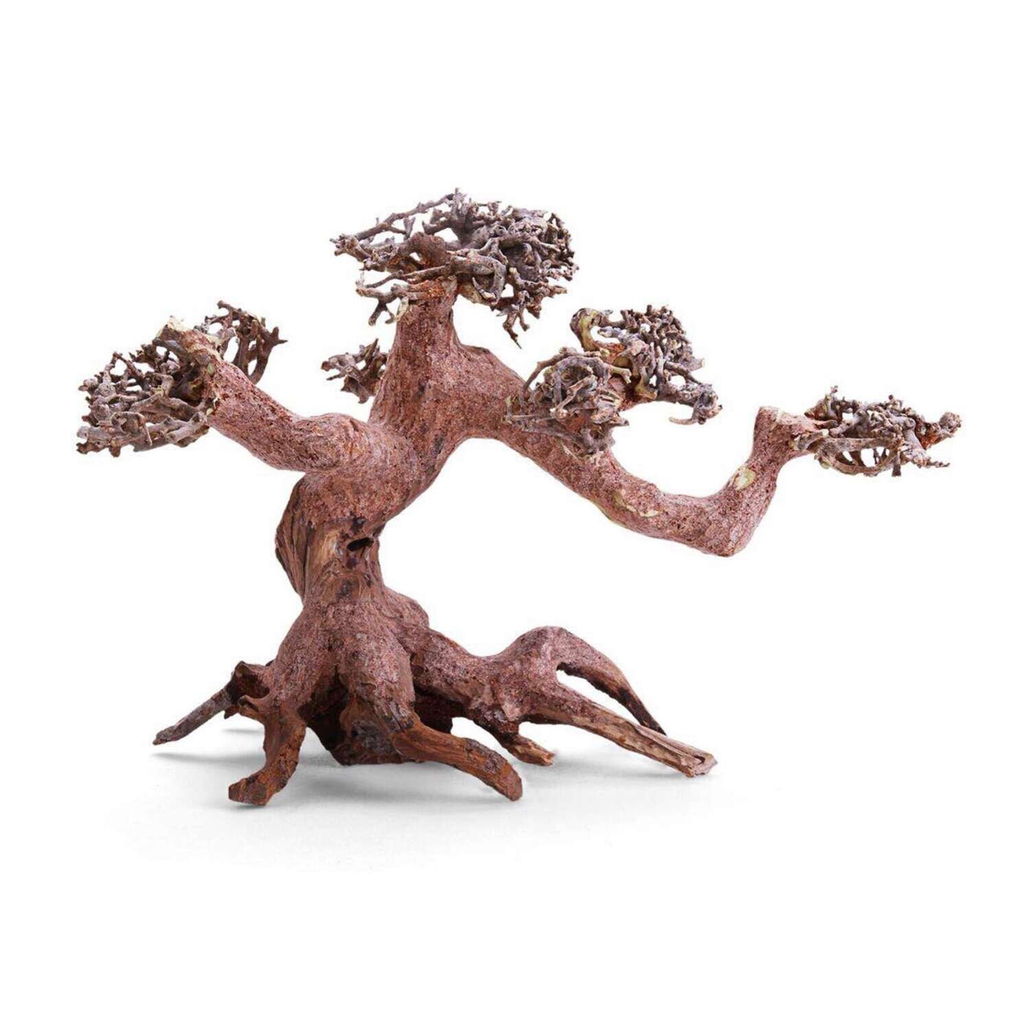 Bons�i con ramas separadas 23x12x15 cm