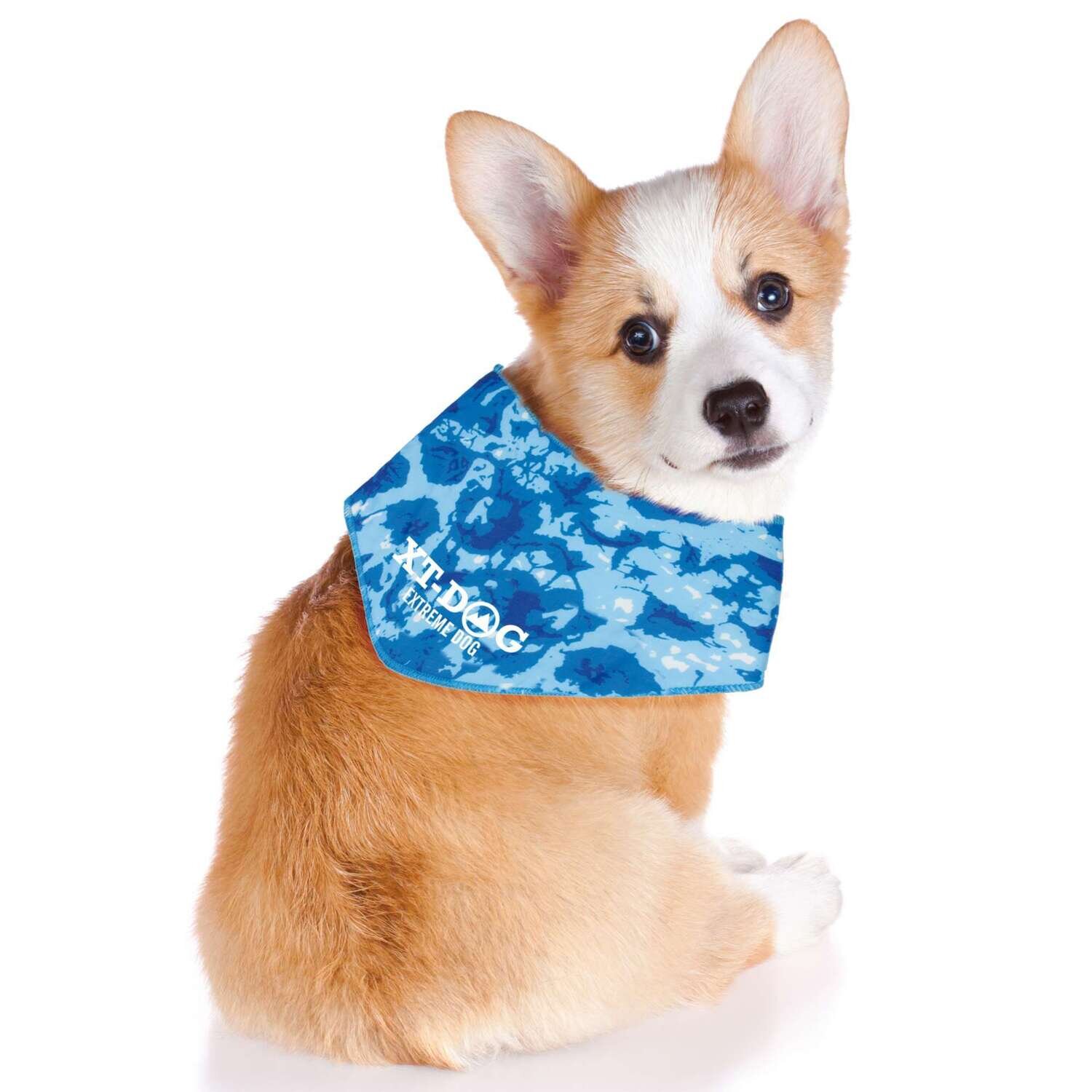 Pa�uelo refrescante de XT-DOG L