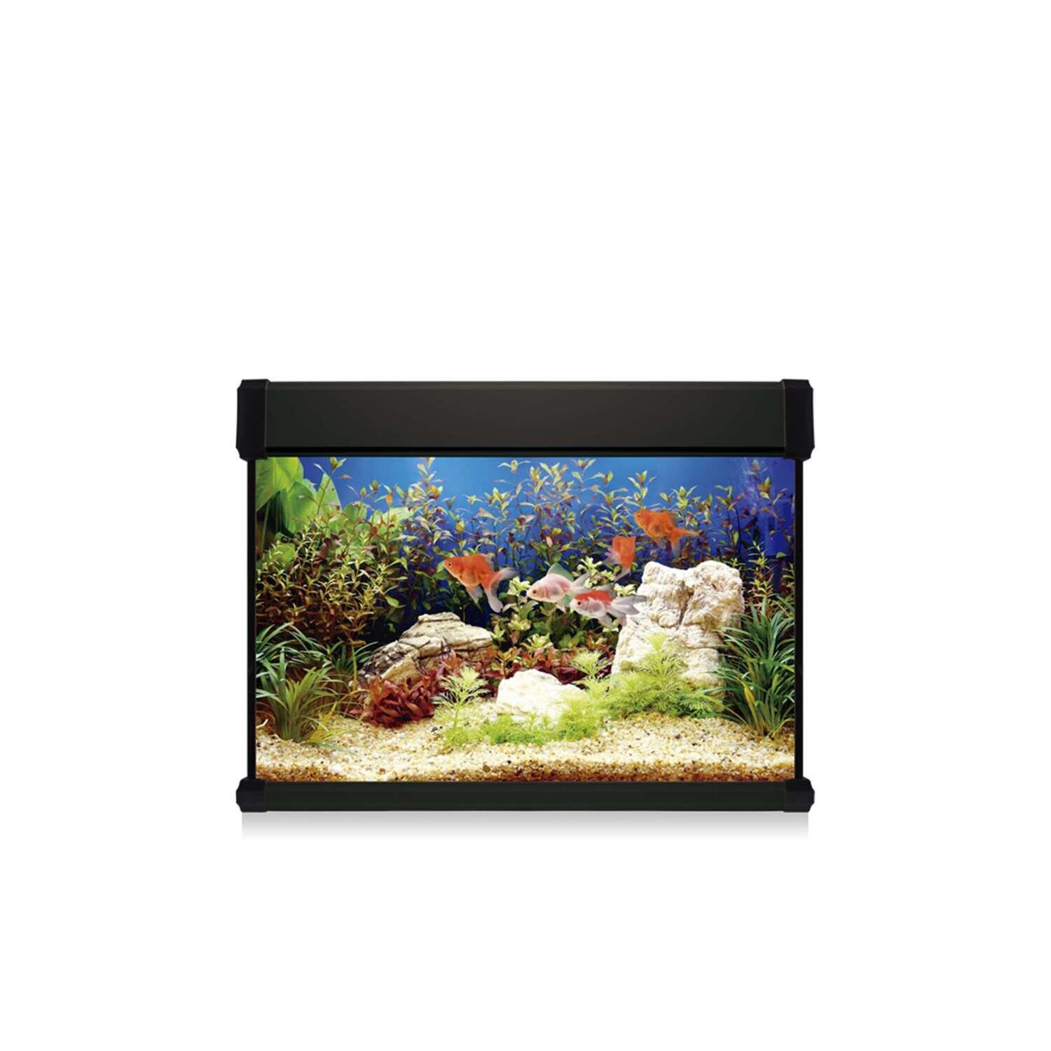 Kit AQUA LUX PRO 68 con filtro interior 60x31x45 cm