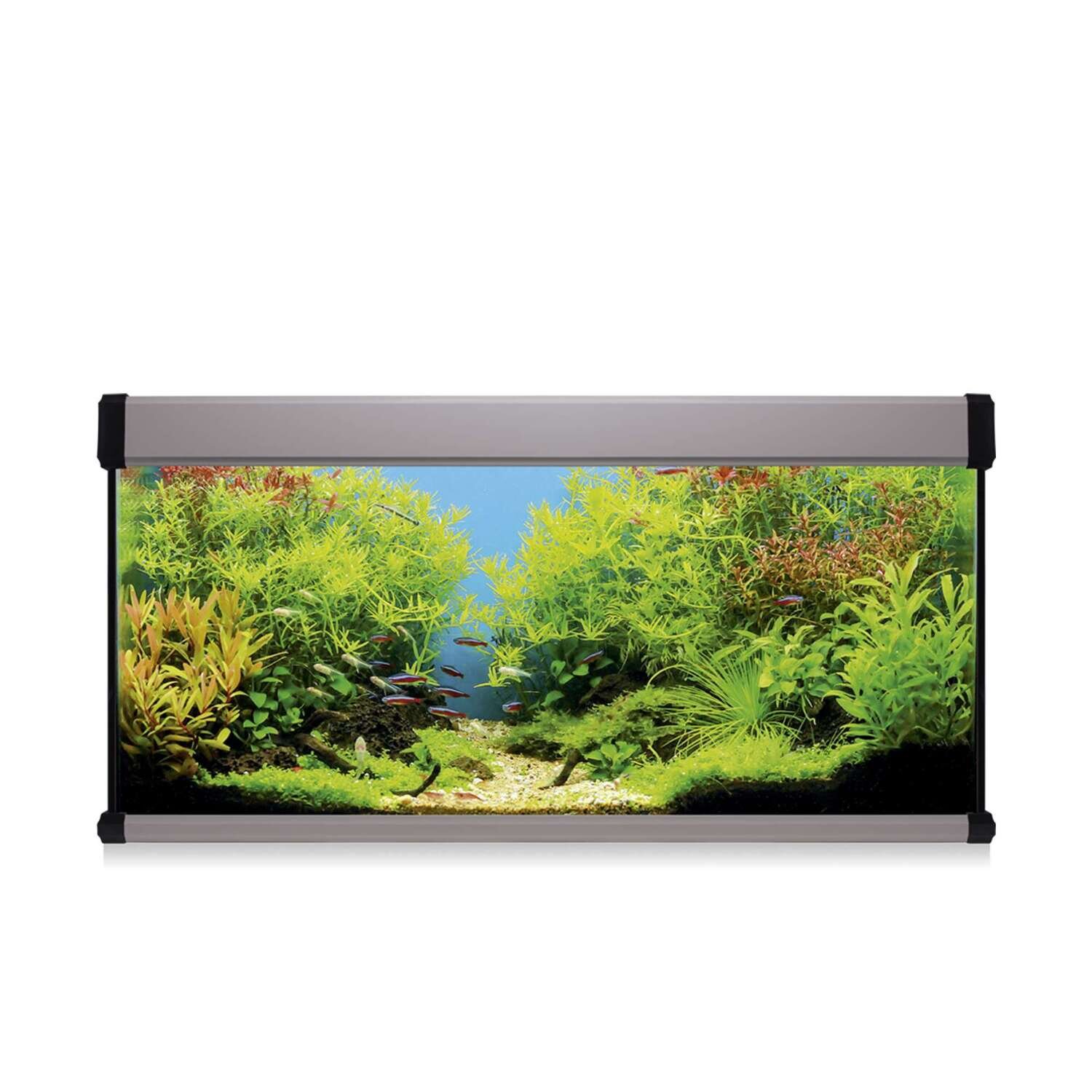 Kit AQUA LUX PRO 130 con filtro interior 100x31x50 cm