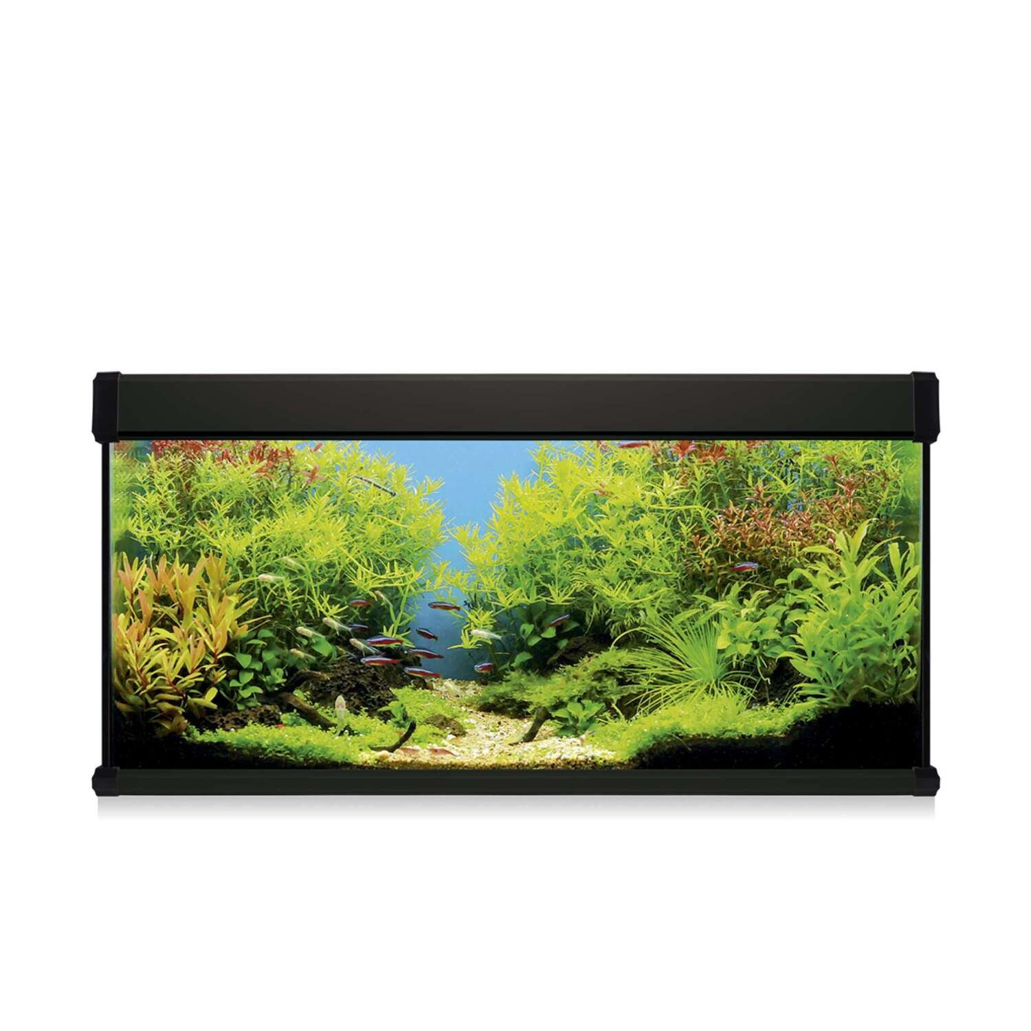 Kit AQUA LUX PRO 168 con filtro exterior 100x40x50 cm