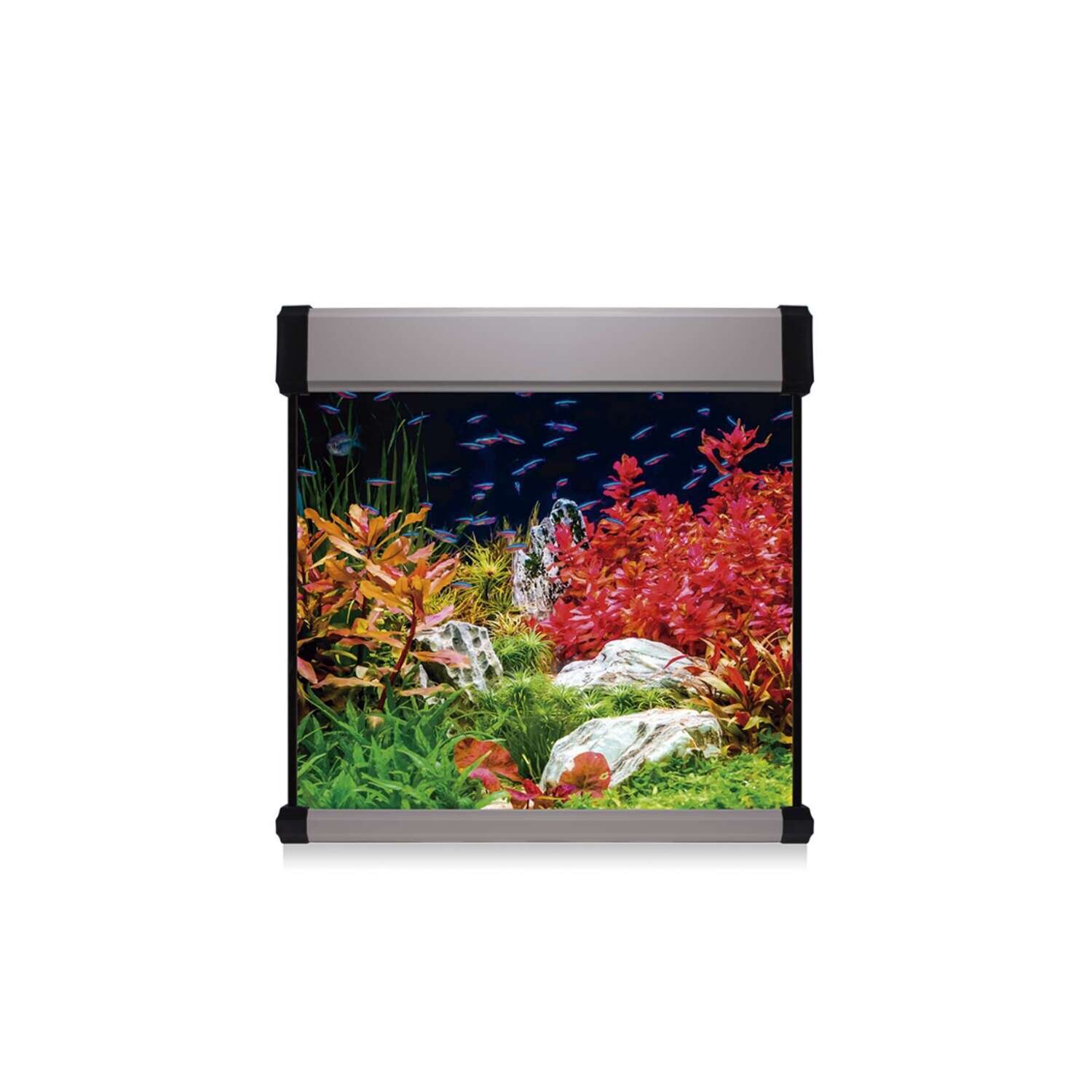 Kit AQUA LUX PRO 190 con filtro exterior 60x60x60 cm