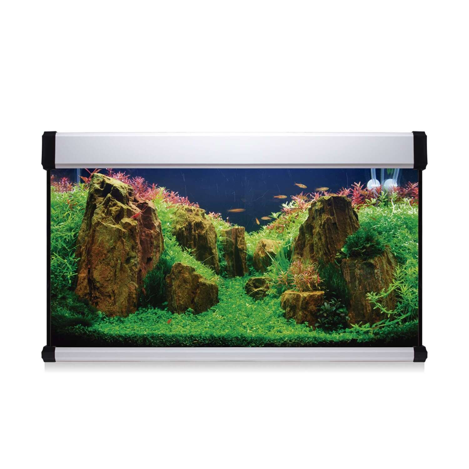 Kit AQUA LUX PRO 200 con filtro exterior 100x40x60 cm