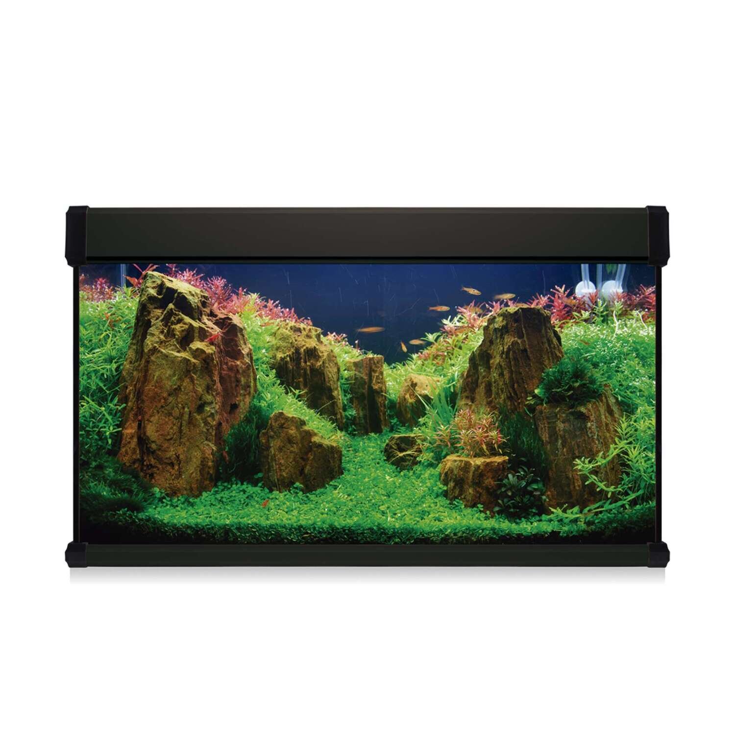 Kit AQUA LUX PRO 200 con filtro exterior 100x40x60 cm