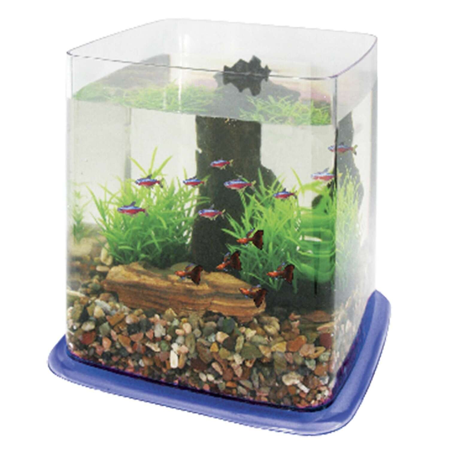 Bettera BETTA BATTLE PARADISE 21x21,5x21,5 cm
