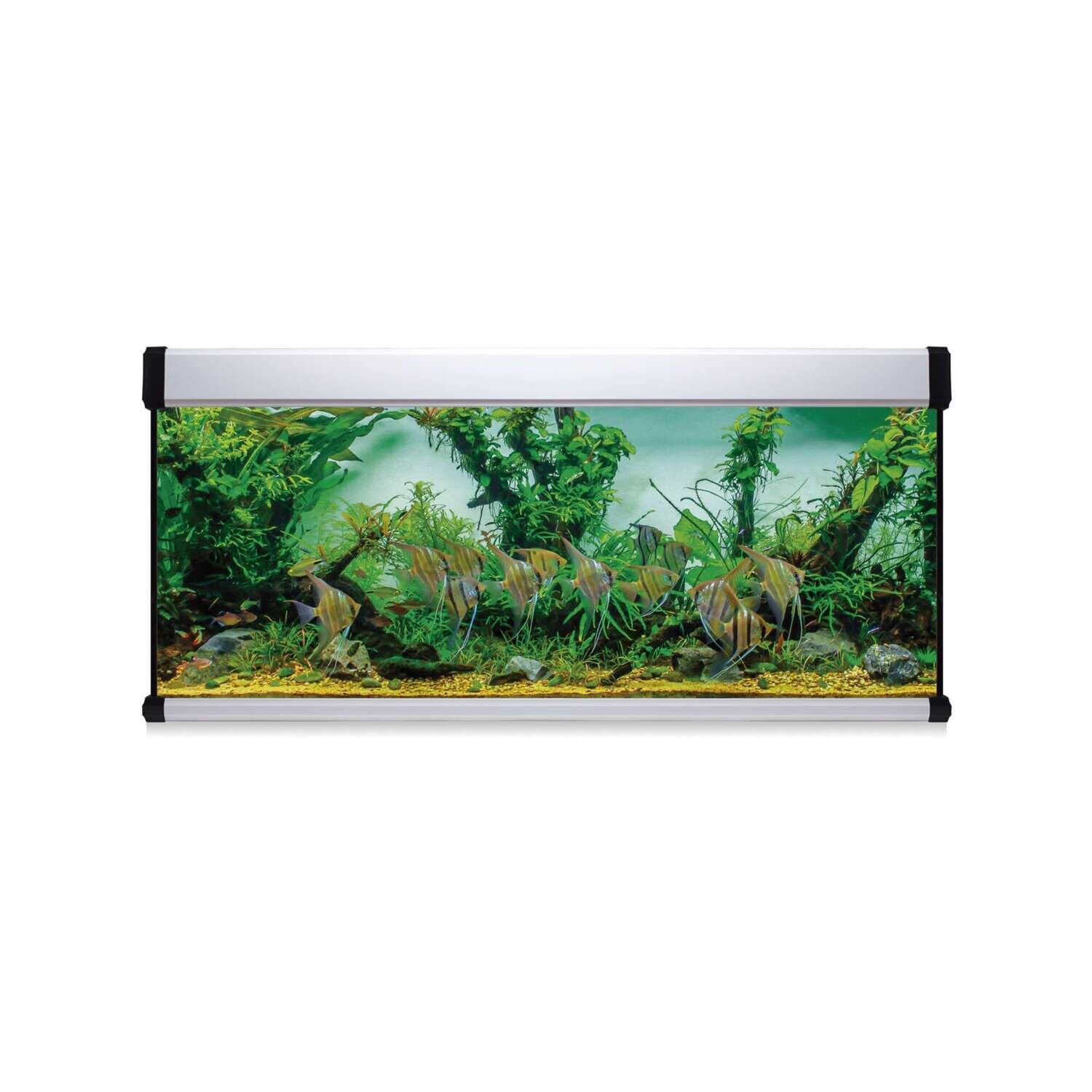 Kit AQUA LUX PRO 450 con filtro exterior 150x50x70 cm