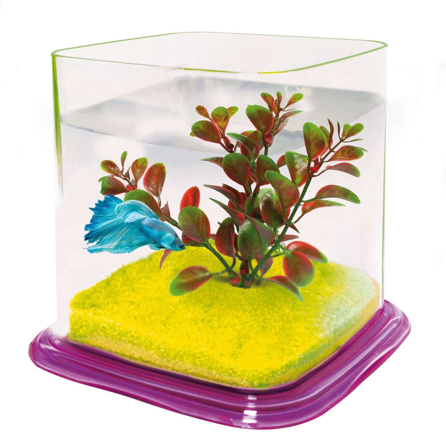 Bettera BETTA PARADISE 13,5x15x15 cm