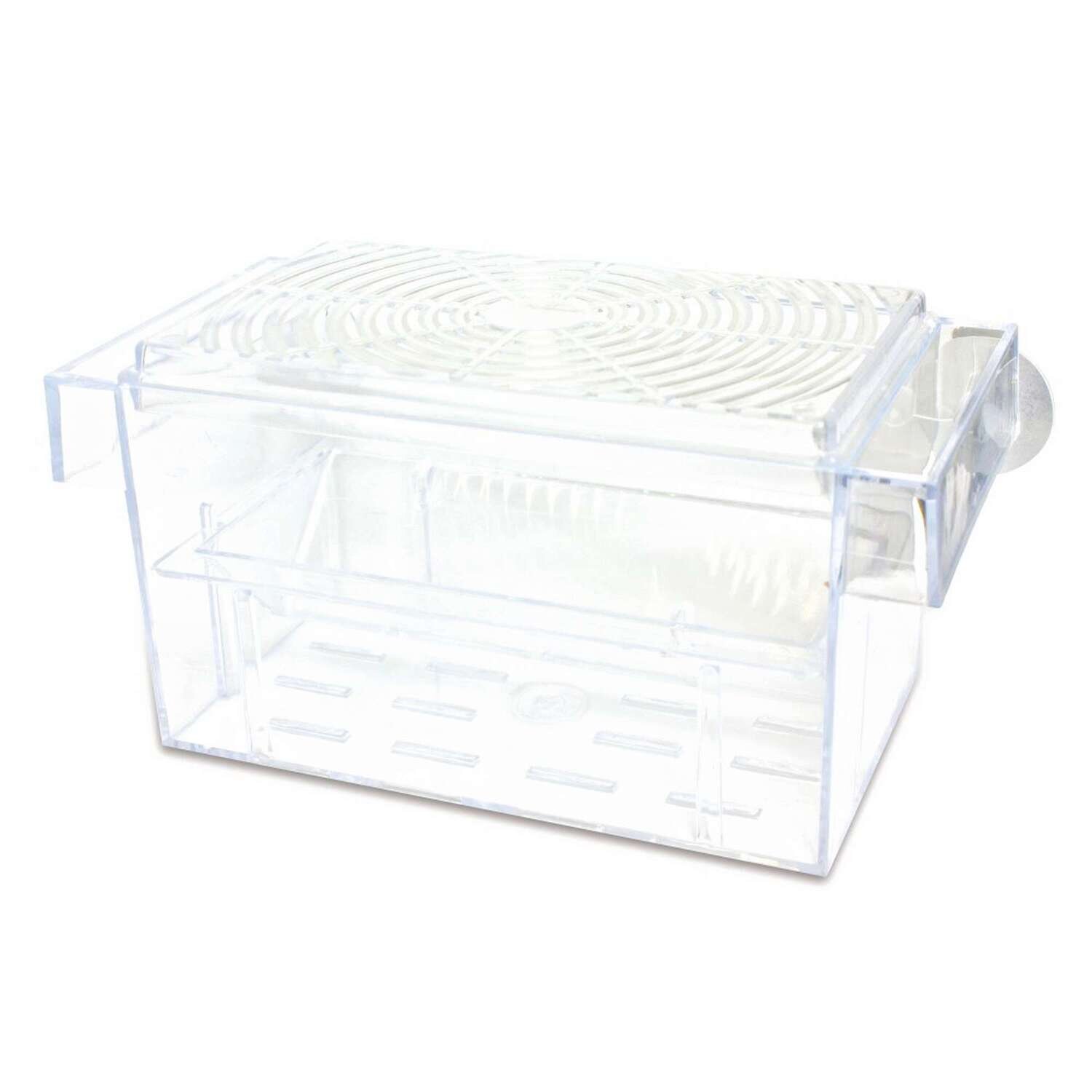 Paridera flotante 2 en 1 con tapa 16x8x8 cm