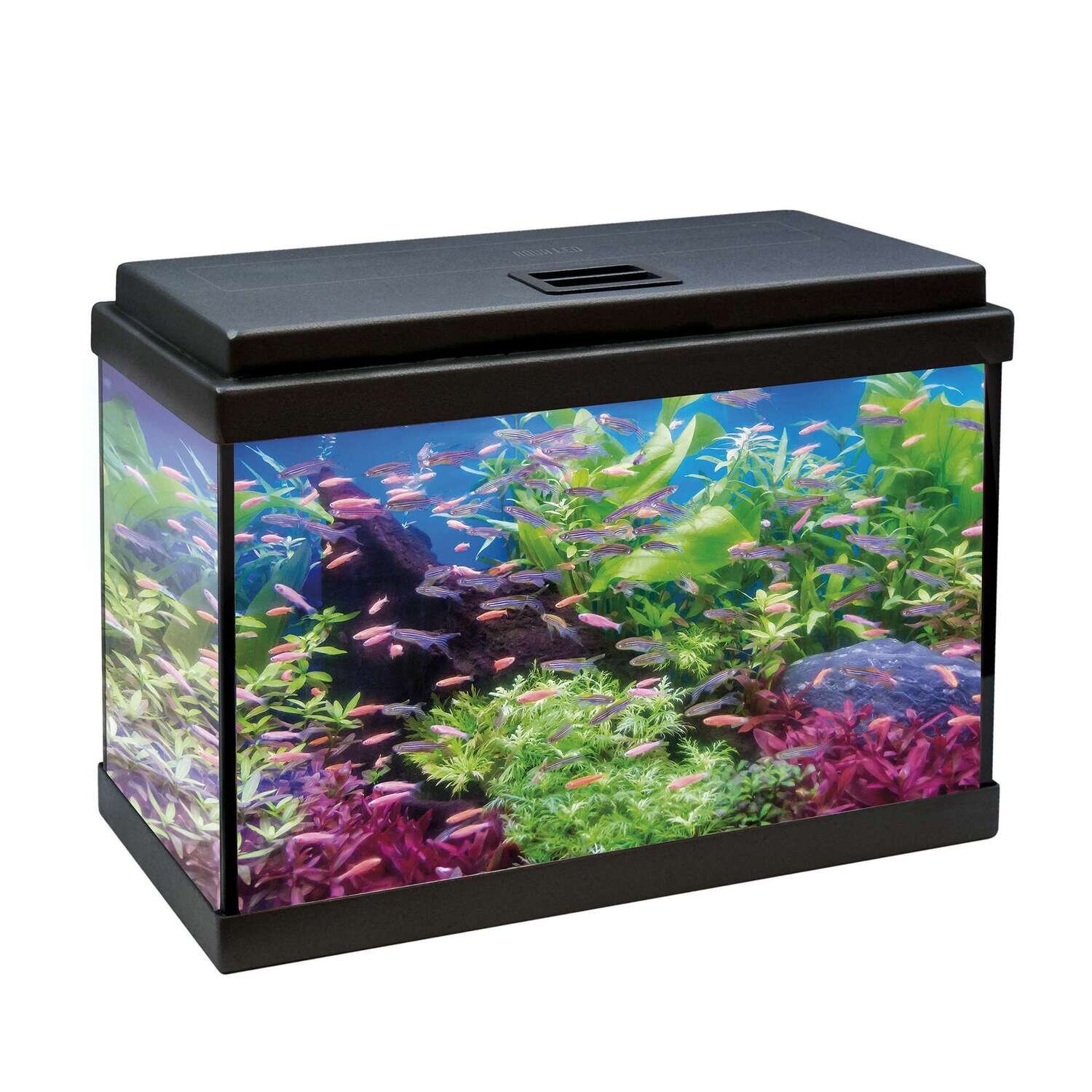 Kit AQUA LED 50 con filtro interior 49,9x24,7x29,5 cm