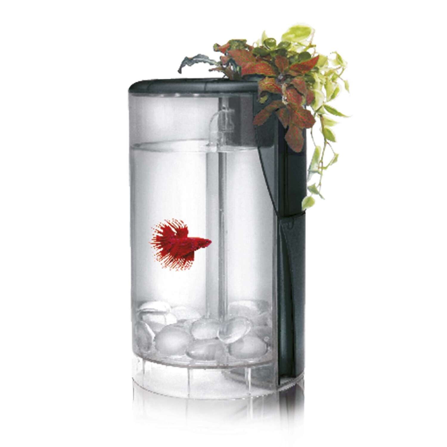 Kit Betta Flora LED 15x15x25 cm