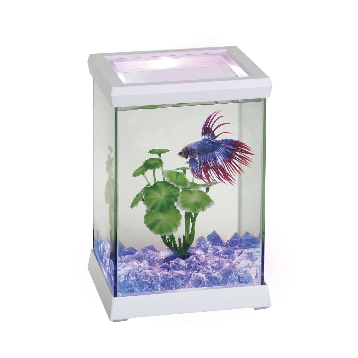 Betta Space LED 15,5x15,5x20,5 cm