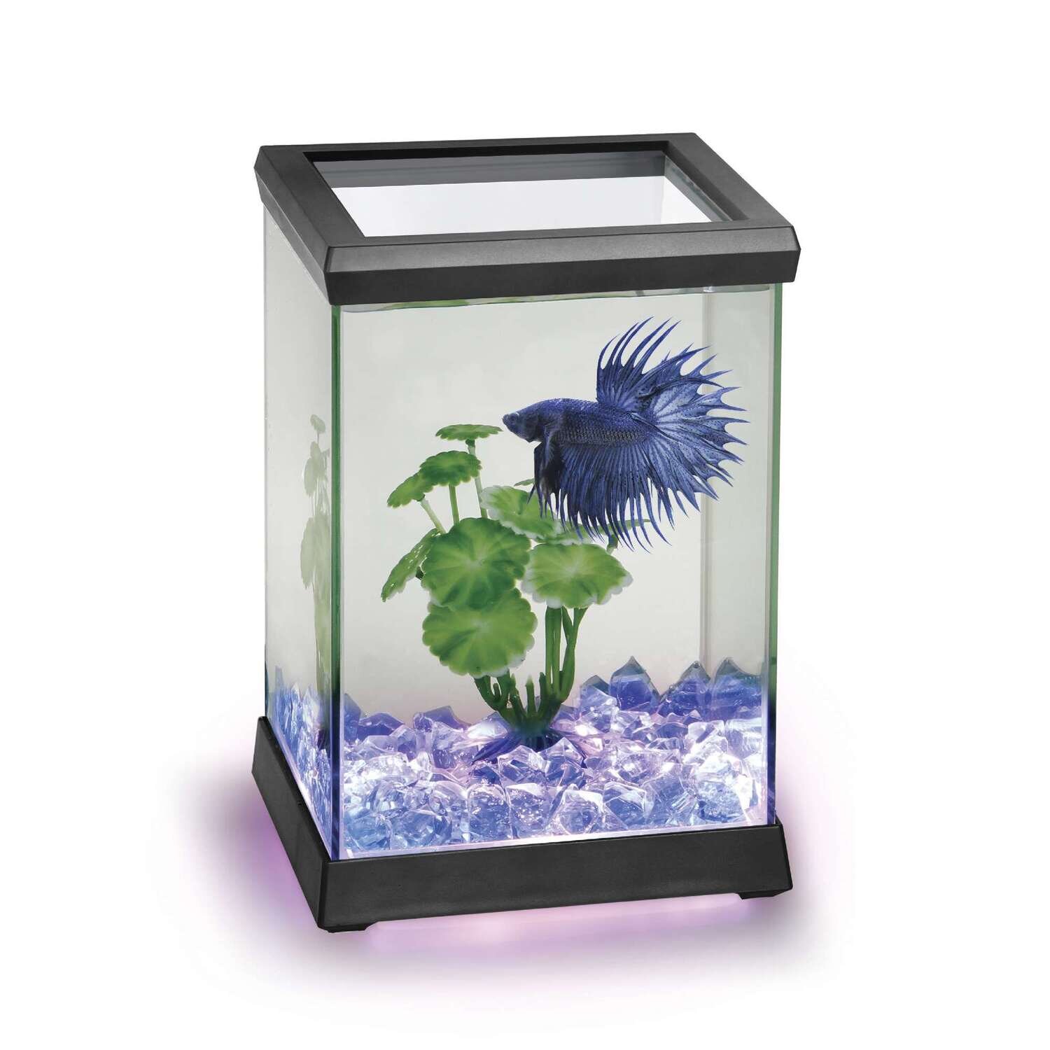 Betta Space LED 15,5x15,5x20,5 cm