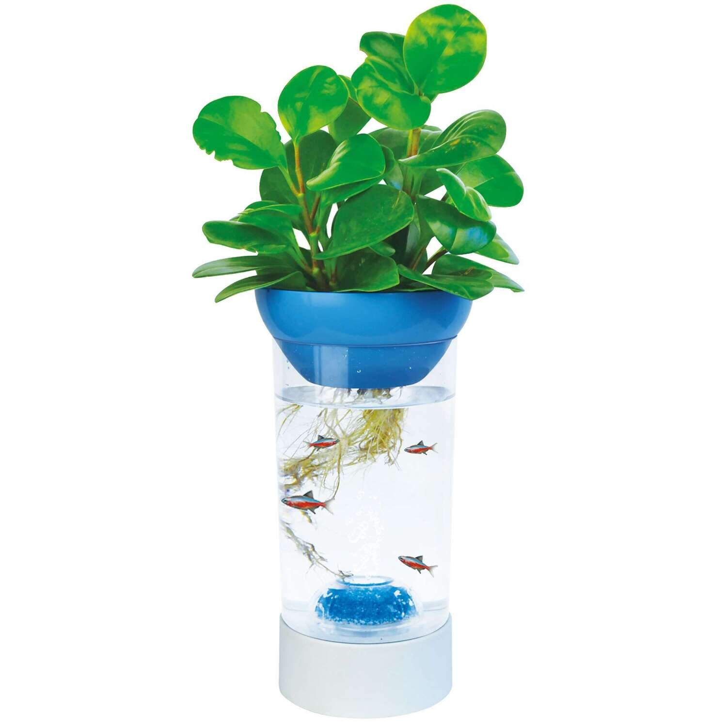 Kit Pecera / Betera NATURE 0x12,9x25,5 cm
