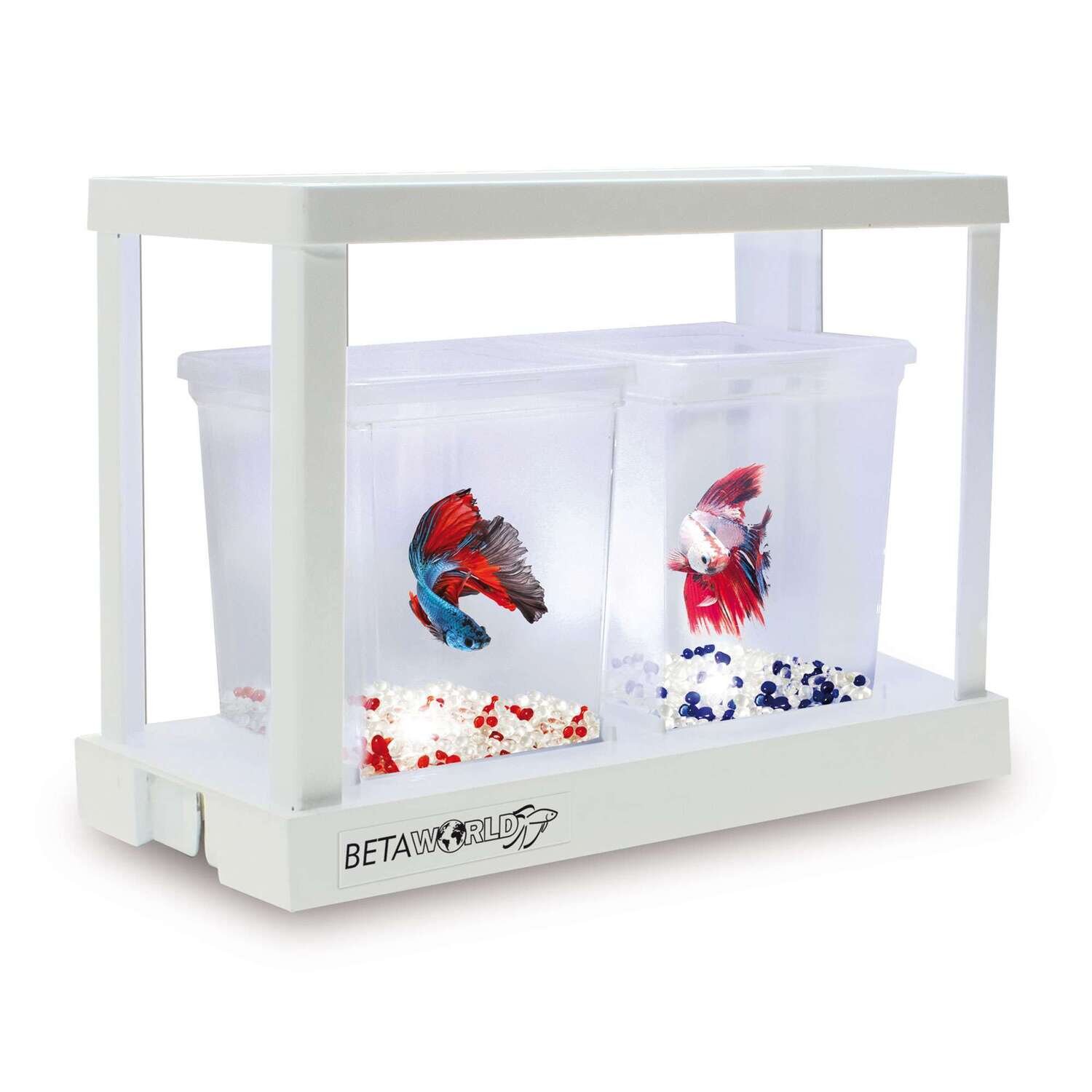 BETAWORLD (ampliaci�n) 19,3x13x26,7 cm