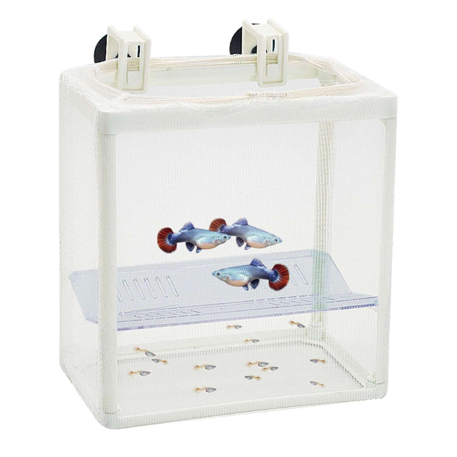 Paridera / Enfermer�a de RED con separador 12,5x8x14,5 cm