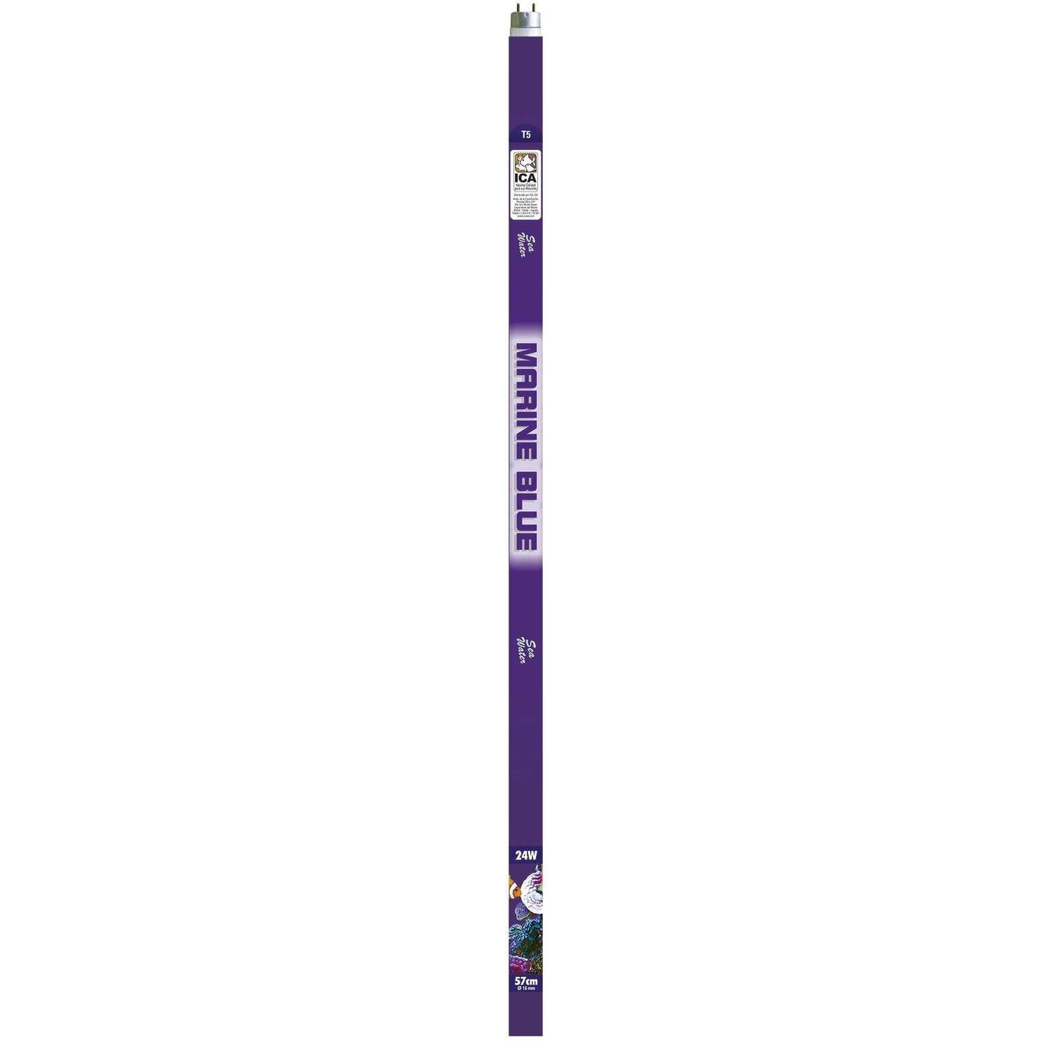 Fluorescente T5 MARINE BLUE 117