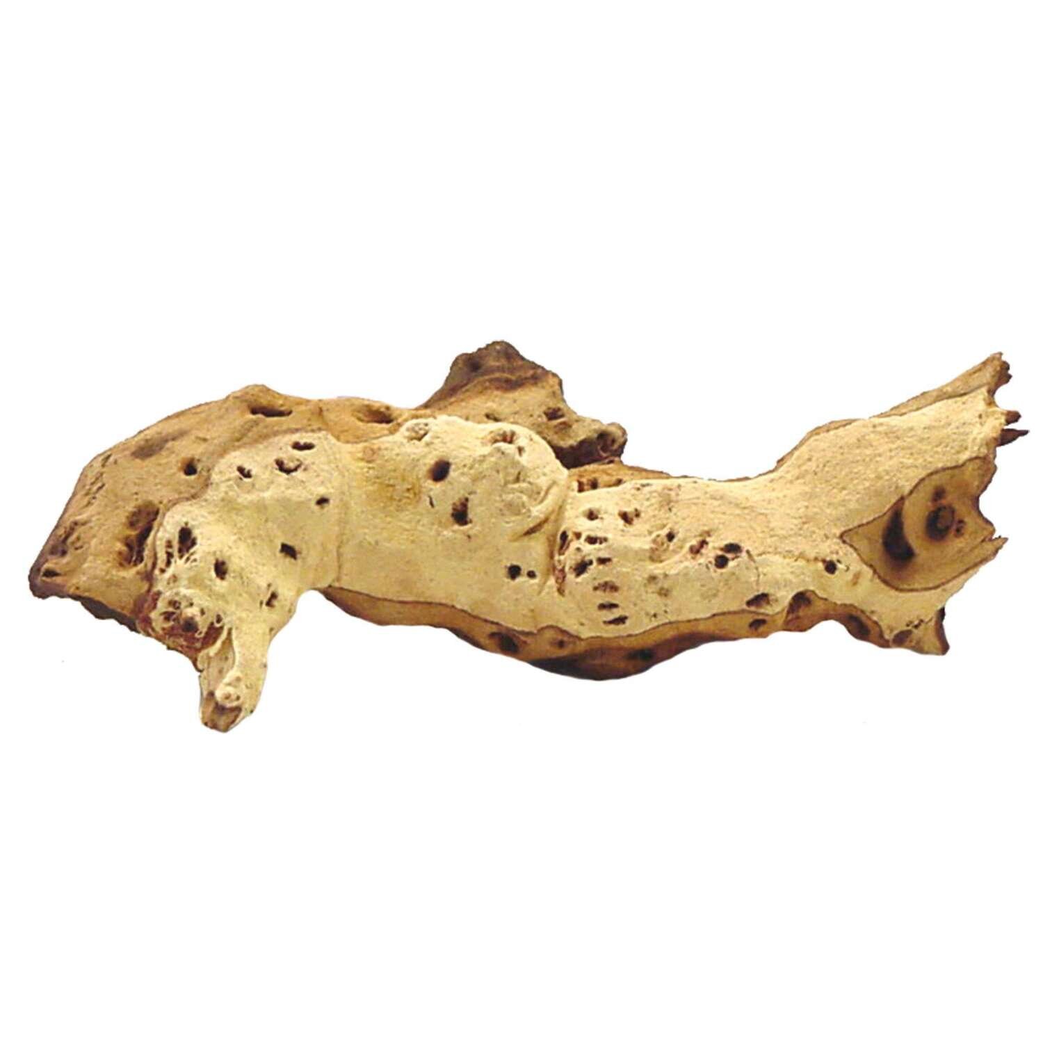 Tronco natural MOPANI 10 kg
