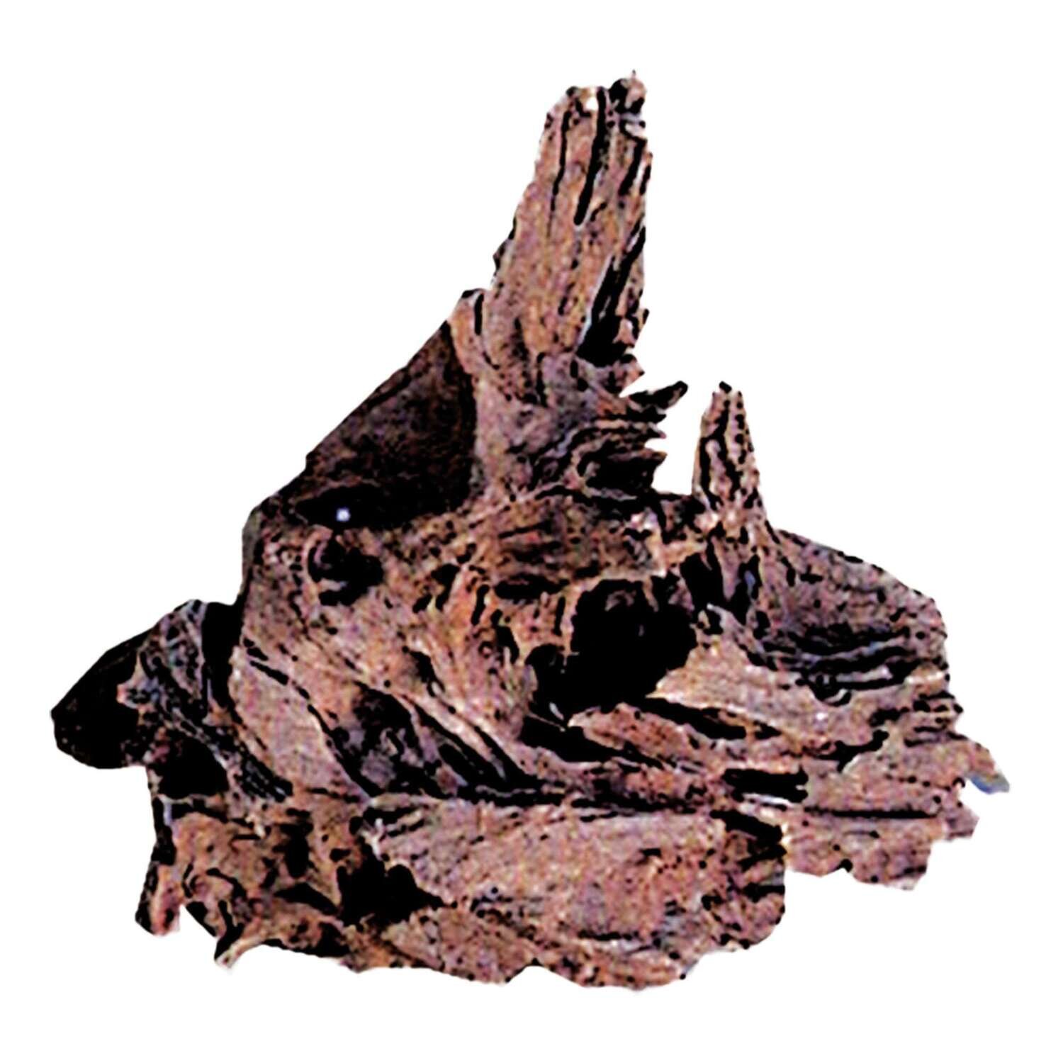 Tronco natural DRIFTWOOD  23 cm 50 UNIDADES