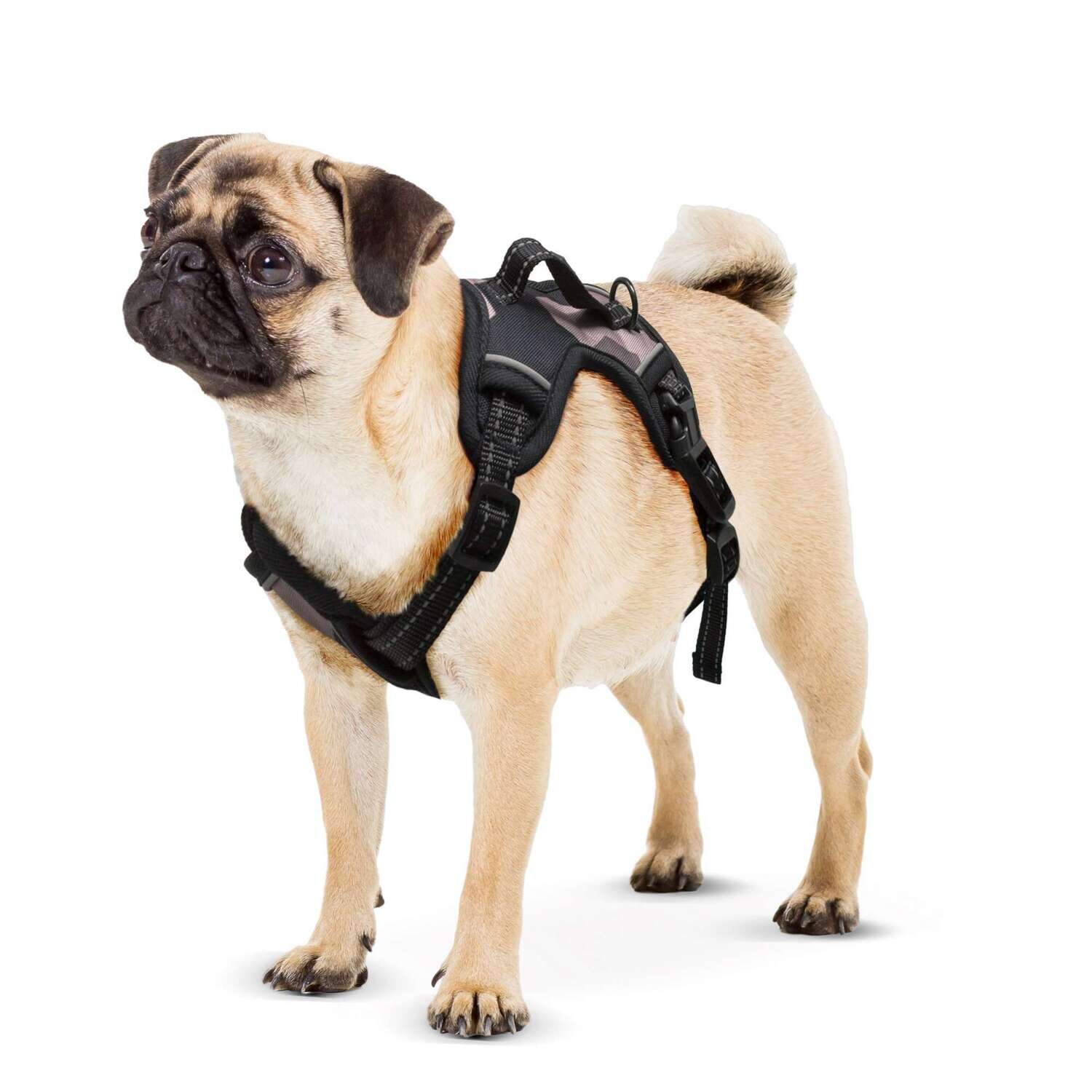 Arn�s CAMO de XT-DOG  XL