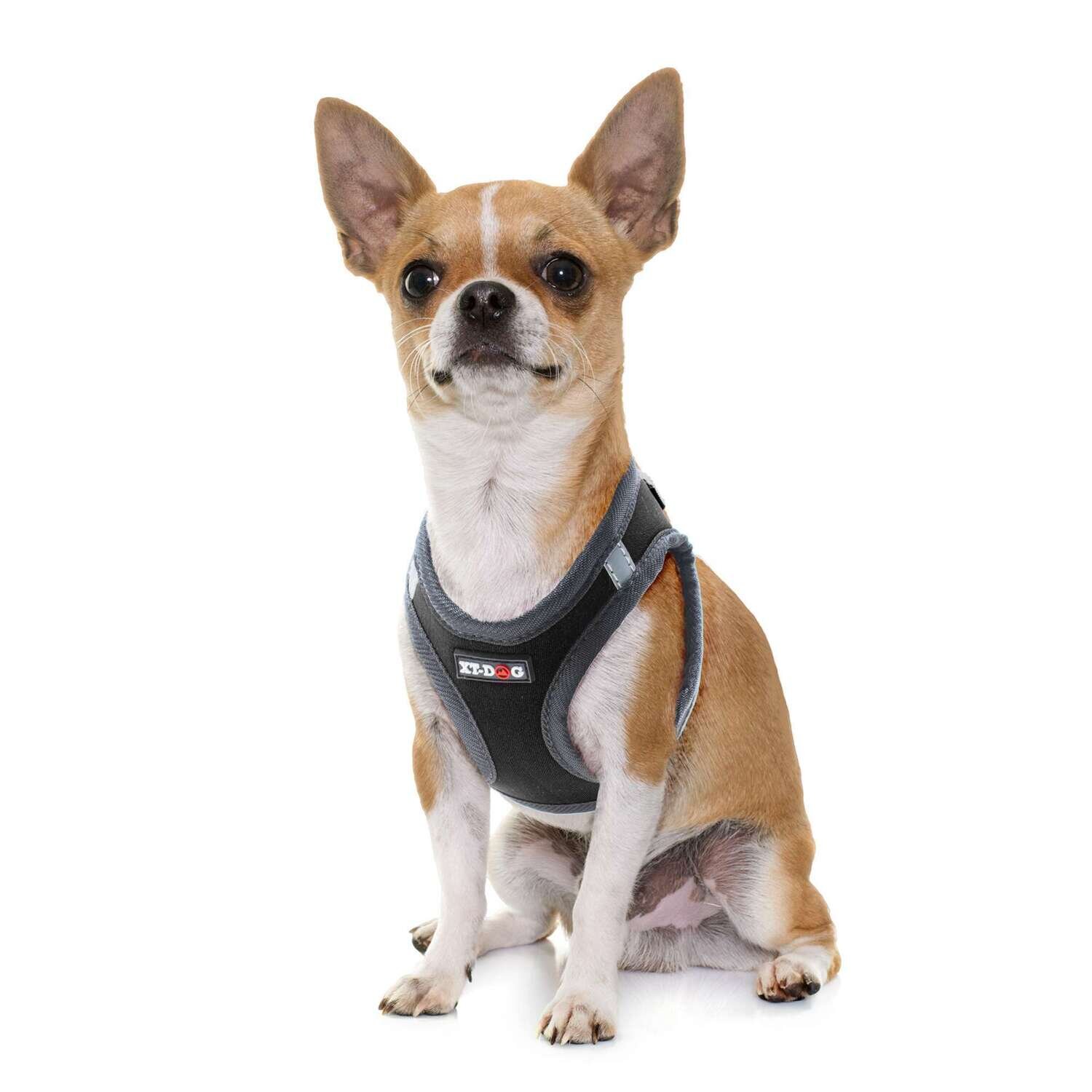 Arn�s NEO negro de XT-DOG 40,6 cm