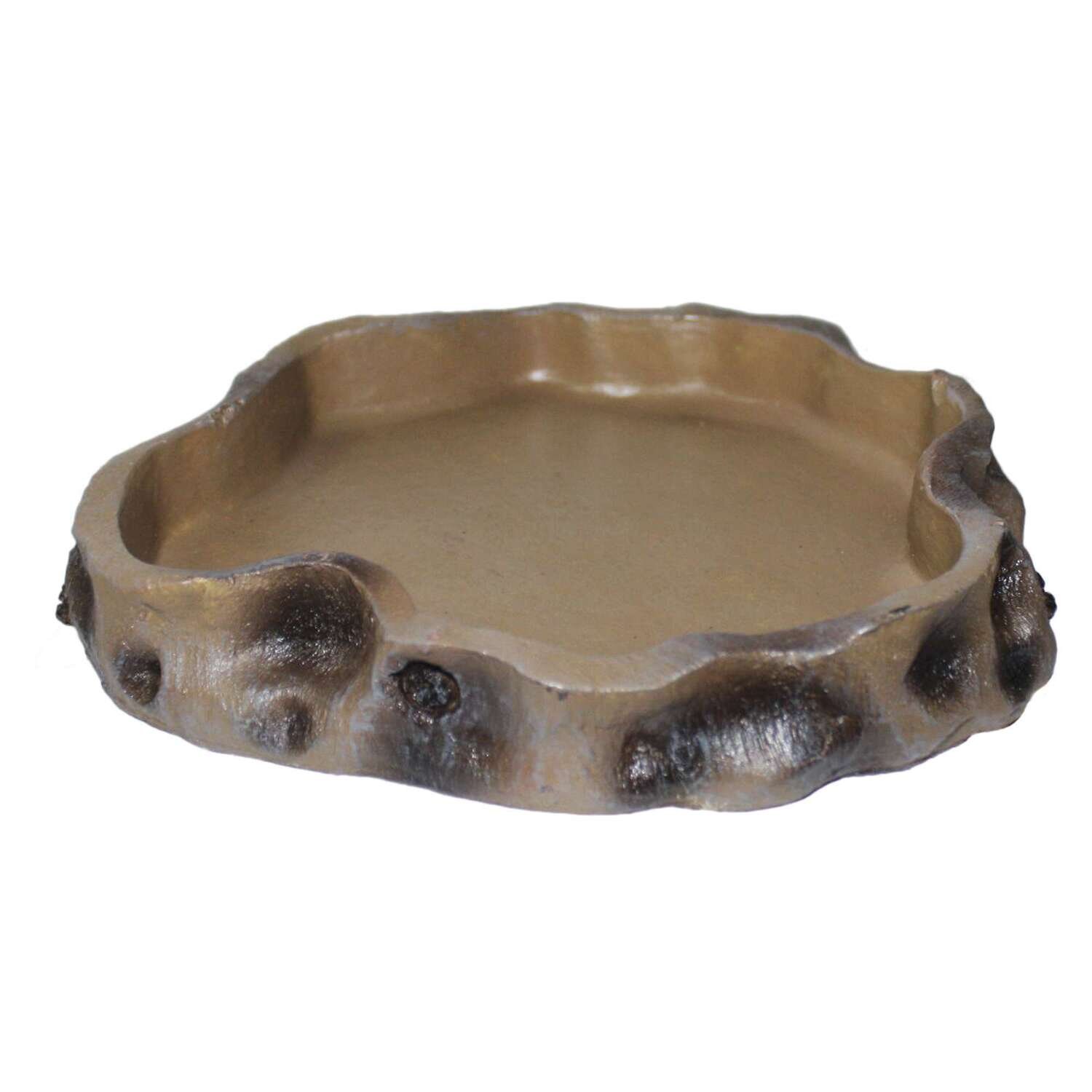 Comedero / Bebedero para reptiles 20,5x20x3 cm