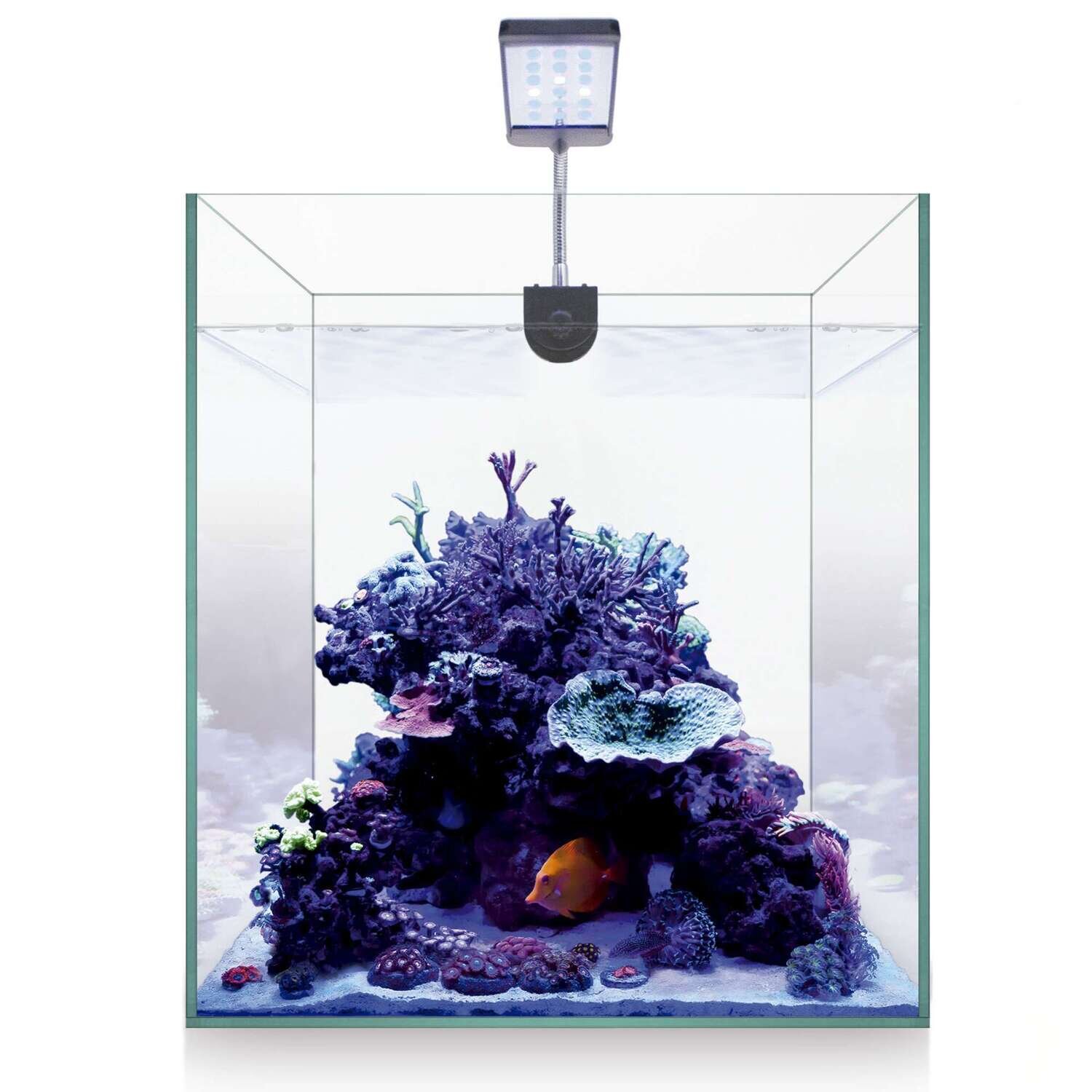 Kit NANO MARINE 30 29,7x29,7x35 cm