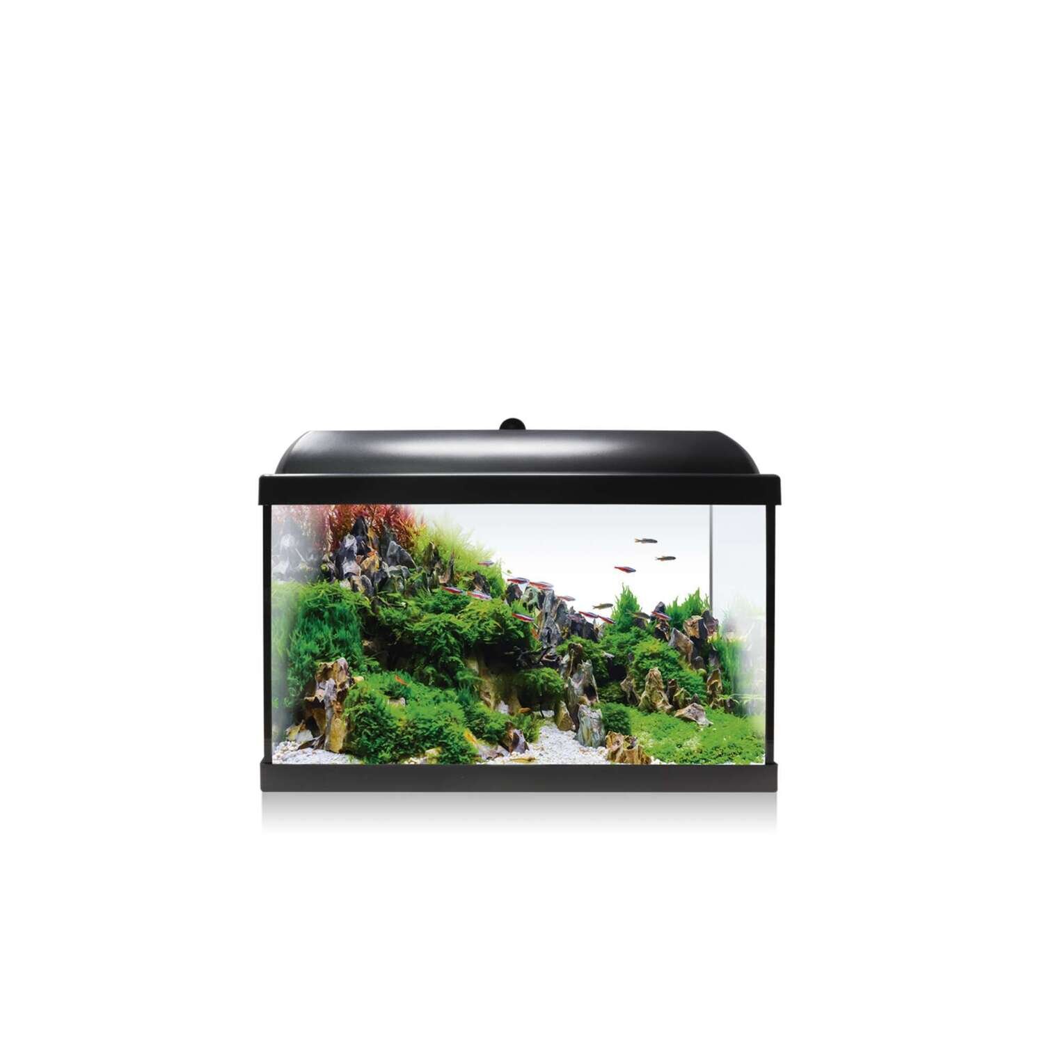 Kit AQUA LED RGB 45 50,6x28,7x34,7 cm