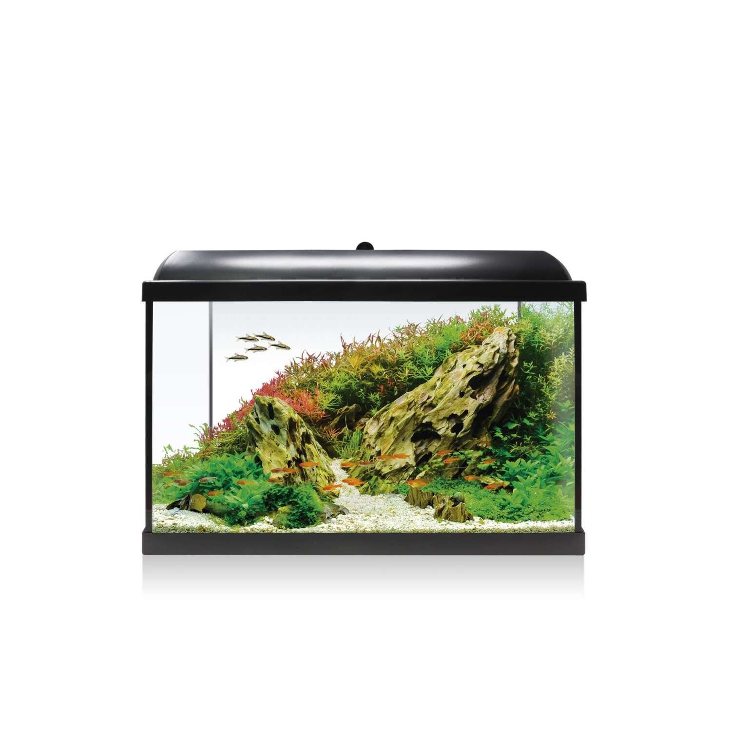 Kit AQUA LED RGB 68 59,7x30,7x42,2 cm