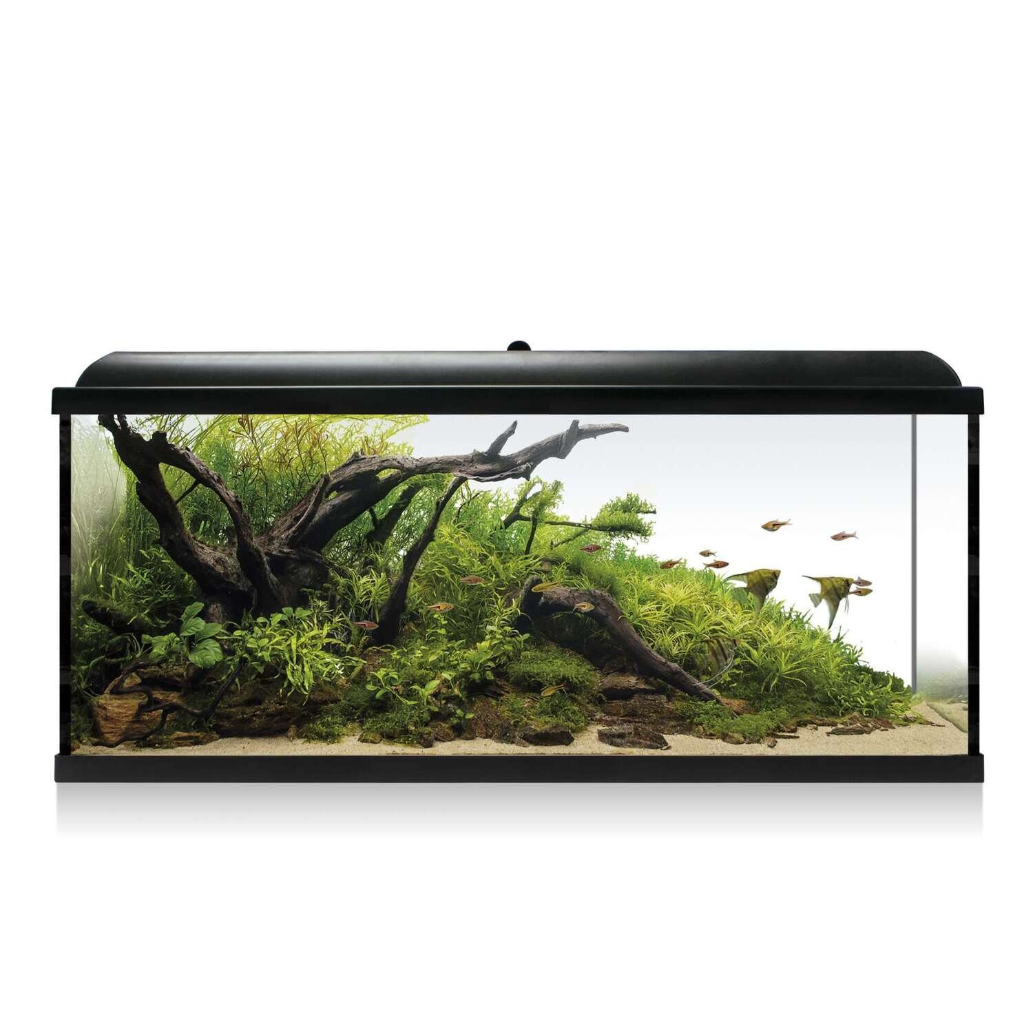 Kit AQUA LED RGB 130 99,7x30,7x46,6 cm