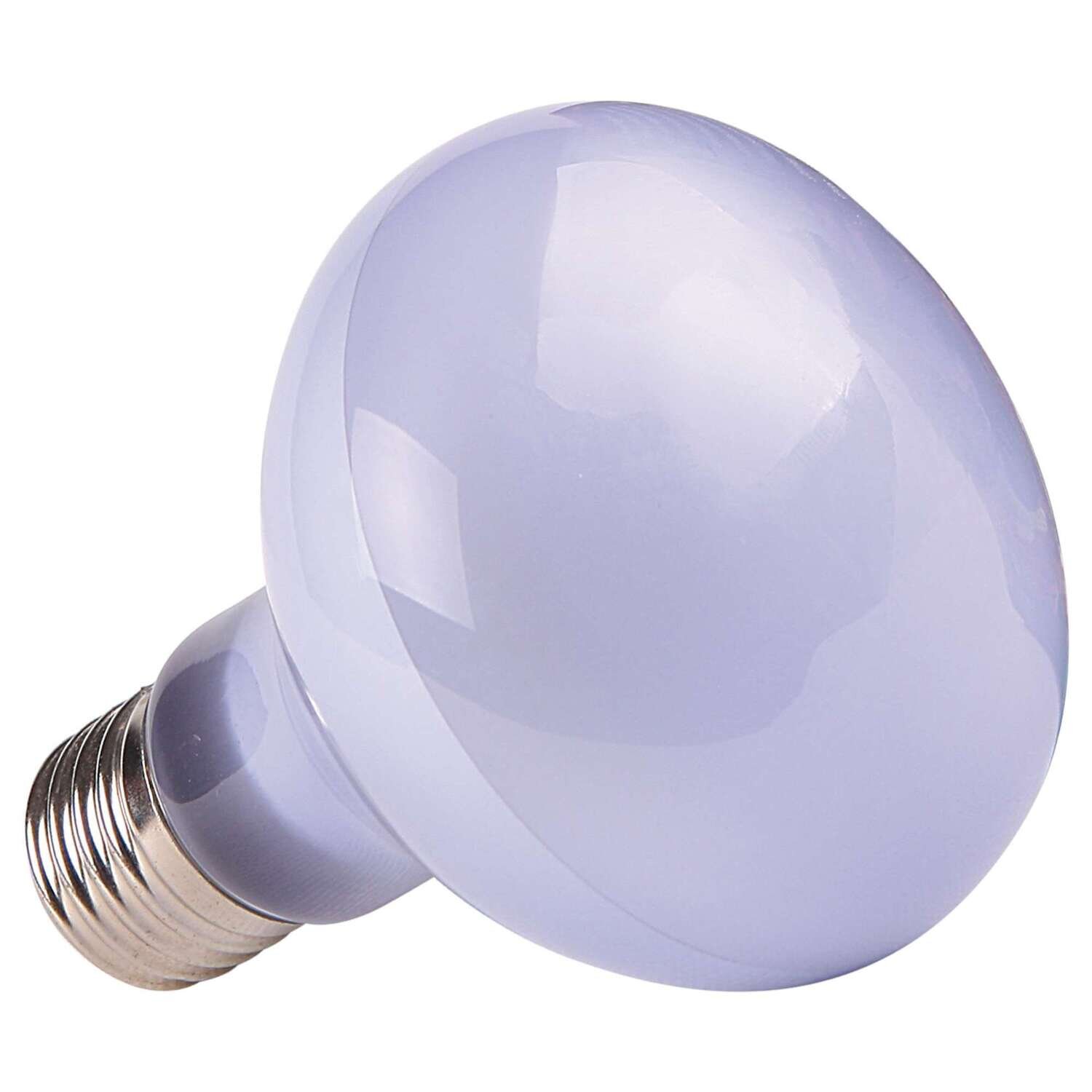 Bombilla hal�gena diurna  42 W