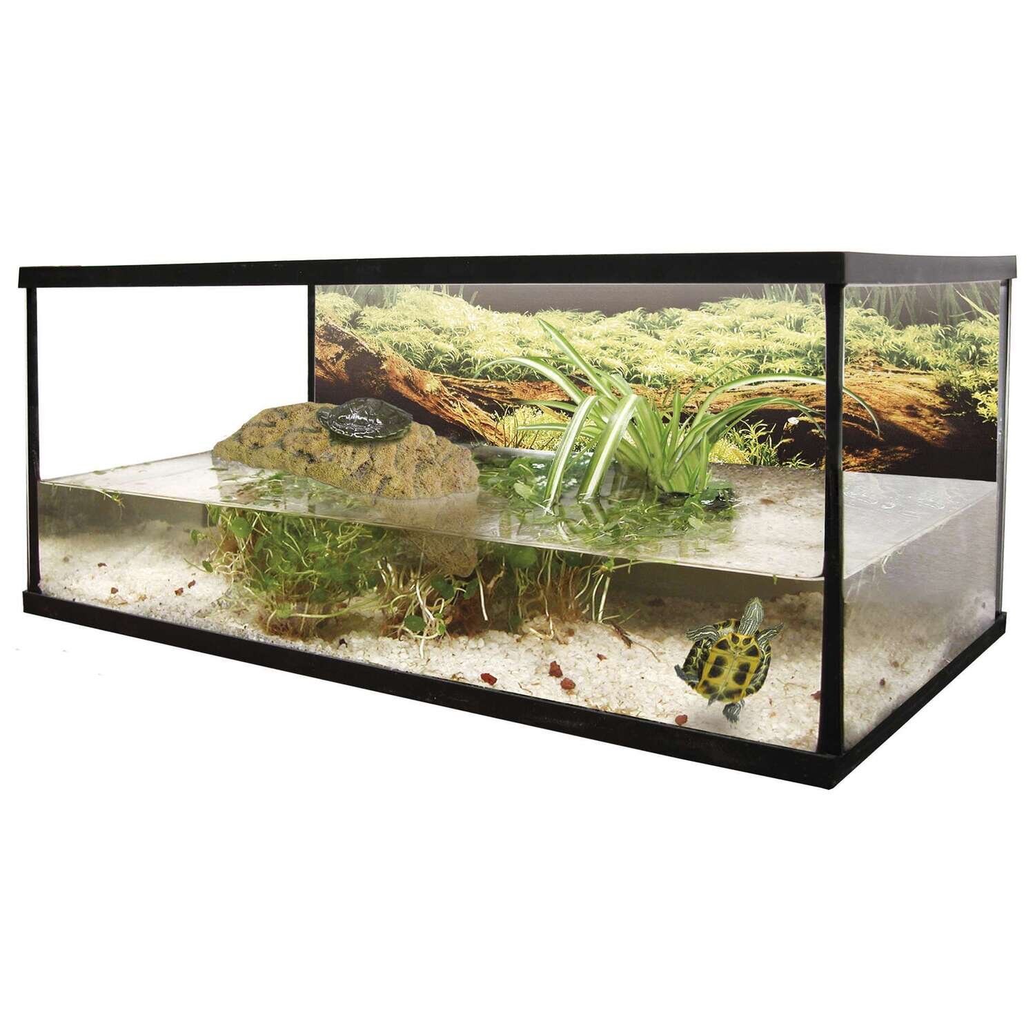 KIT tortuguera ISLA 30x15x18 cm