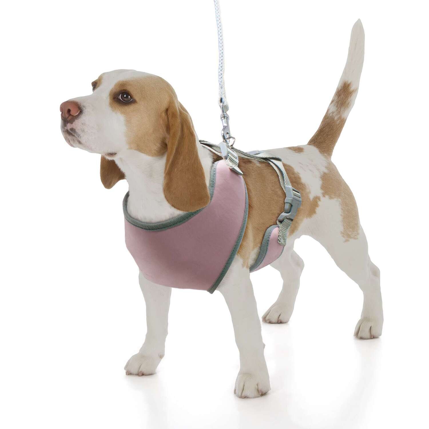 Arn�s Soft rosa XT-DOG 17 cm